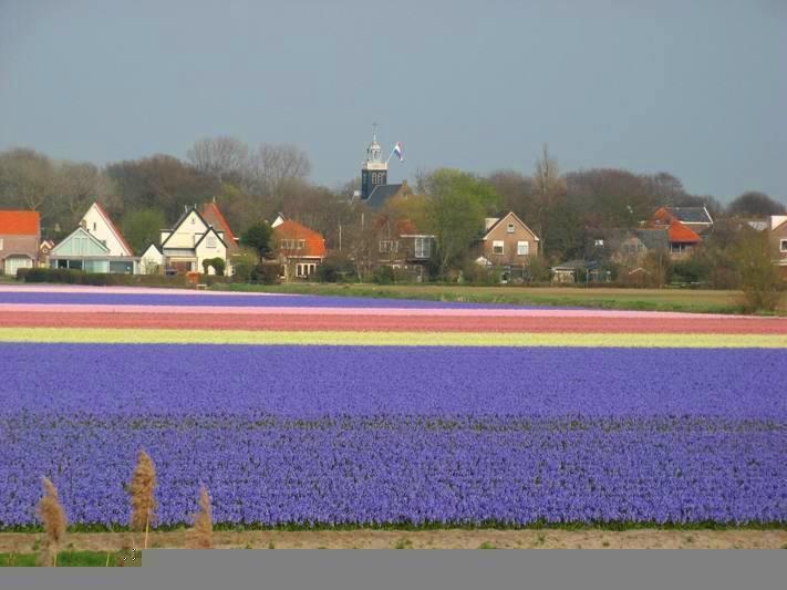 De Blaauboer, Vakantiehuisje Egmond aan Zee Rom bilde