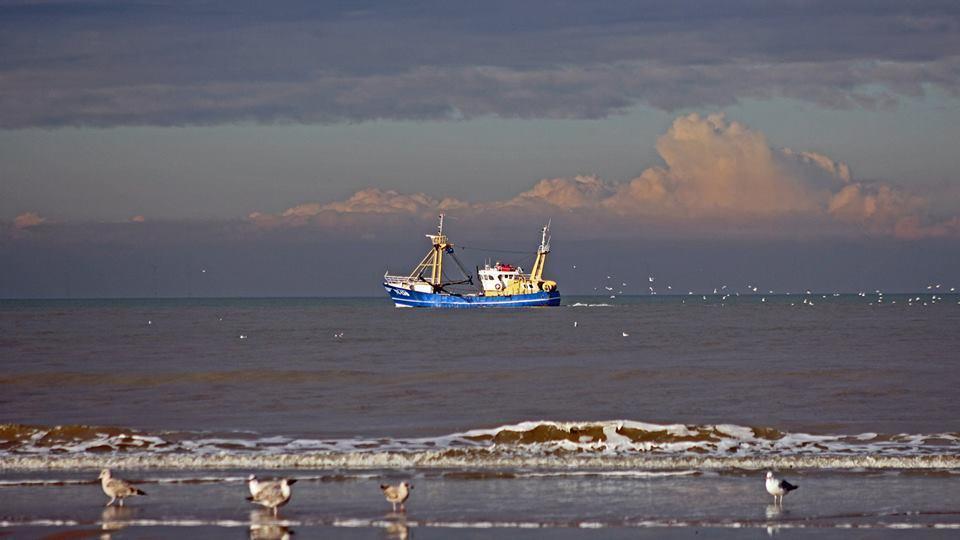De Blaauboer, Vakantiehuisje Egmond aan Zee Eksteriør bilde