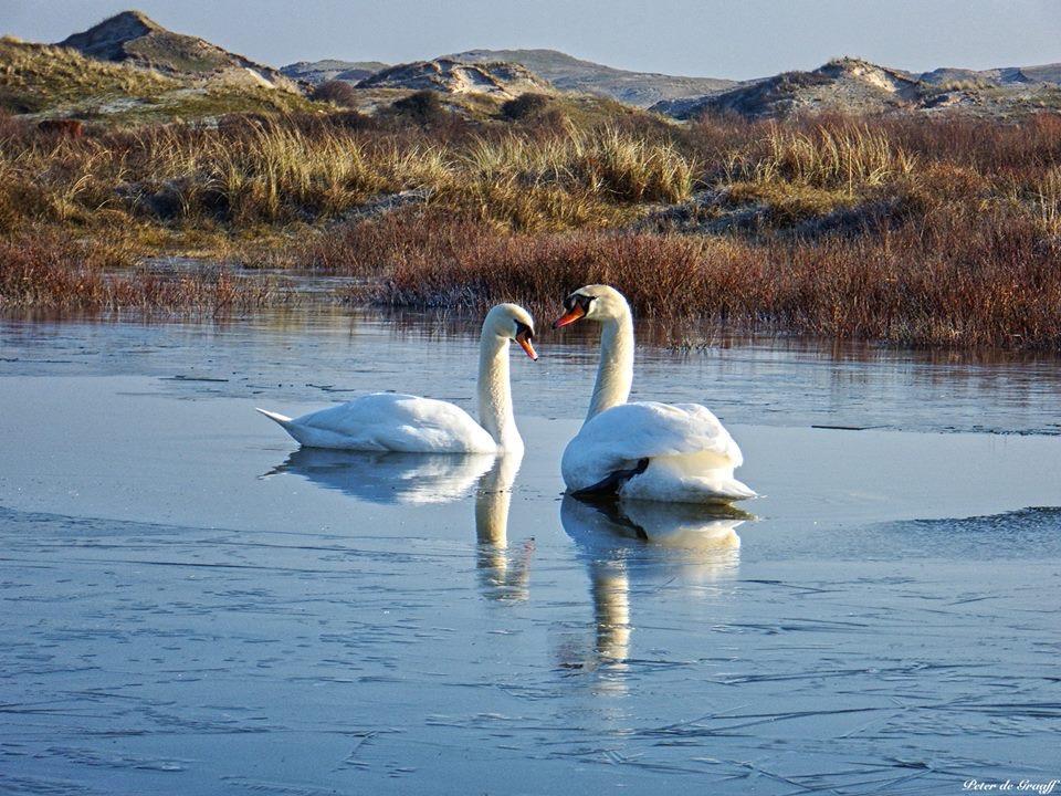De Blaauboer, Vakantiehuisje Egmond aan Zee Eksteriør bilde