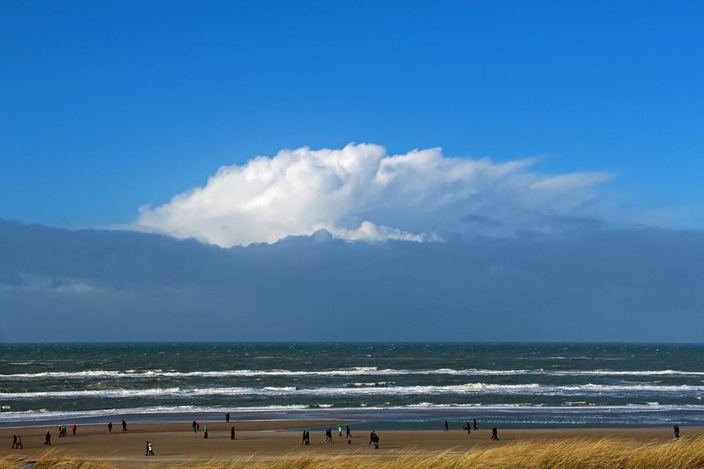 De Blaauboer, Vakantiehuisje Egmond aan Zee Eksteriør bilde