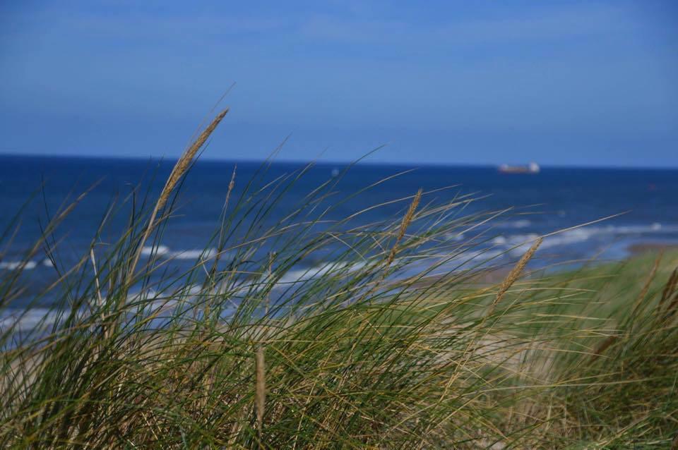 De Blaauboer, Vakantiehuisje Egmond aan Zee Eksteriør bilde